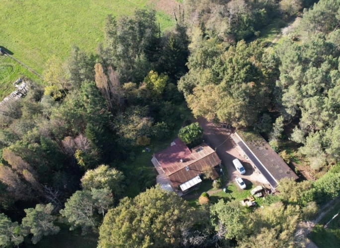 Photos 1 - Équestre - Terrain boisé – forêt