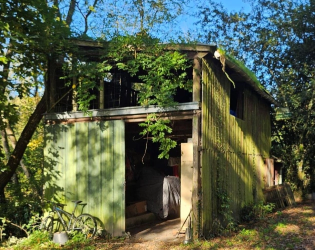 Photos 10 - Équestre - Terrain boisé – forêt