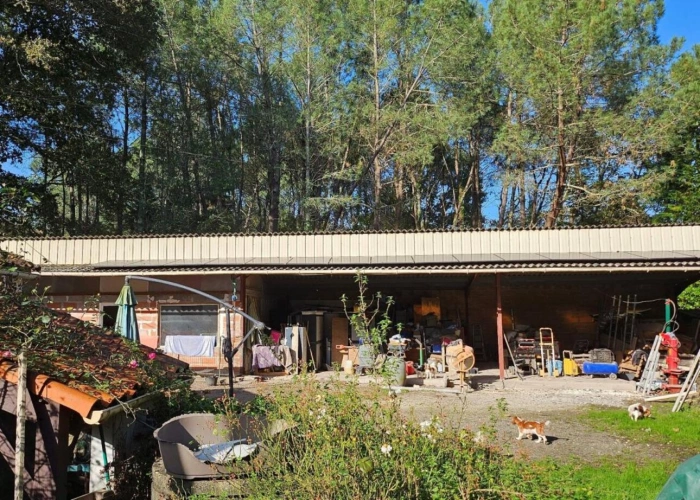 Photos 12 - Équestre - Terrain boisé – forêt