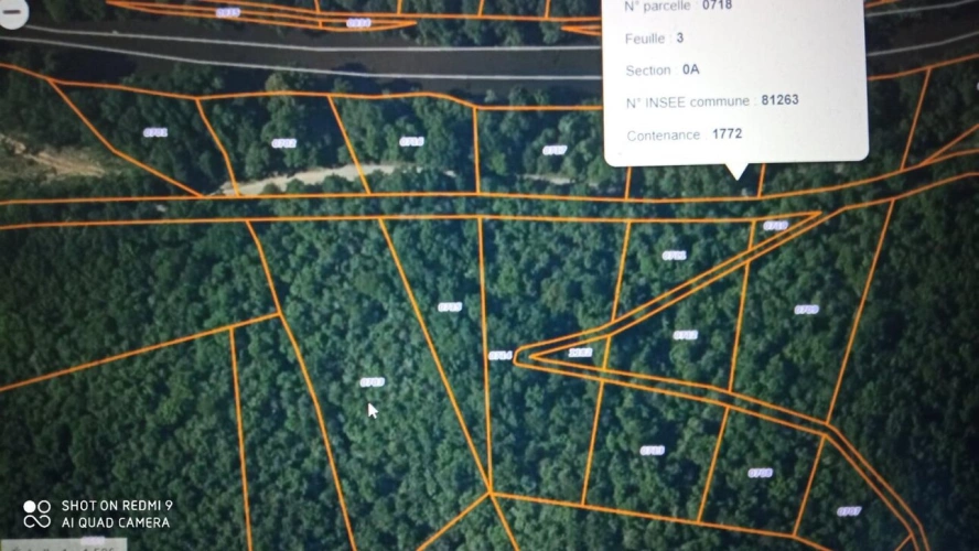 Photos 2 - Rurale - Terrain boisé – forêt