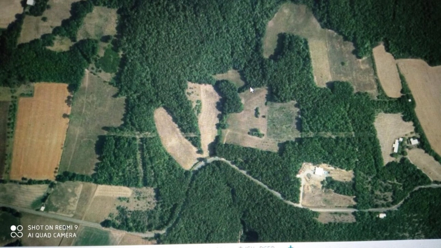 Photos 2 - Land - Woodland – forest