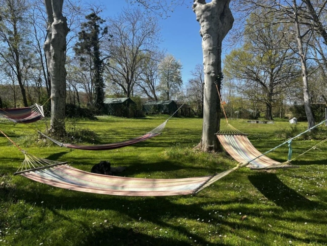 Photos 12 - Prestige - Domaine