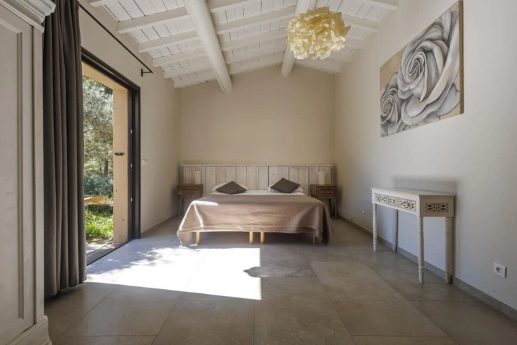 Photos 9 - Viticole - Propriété viticole