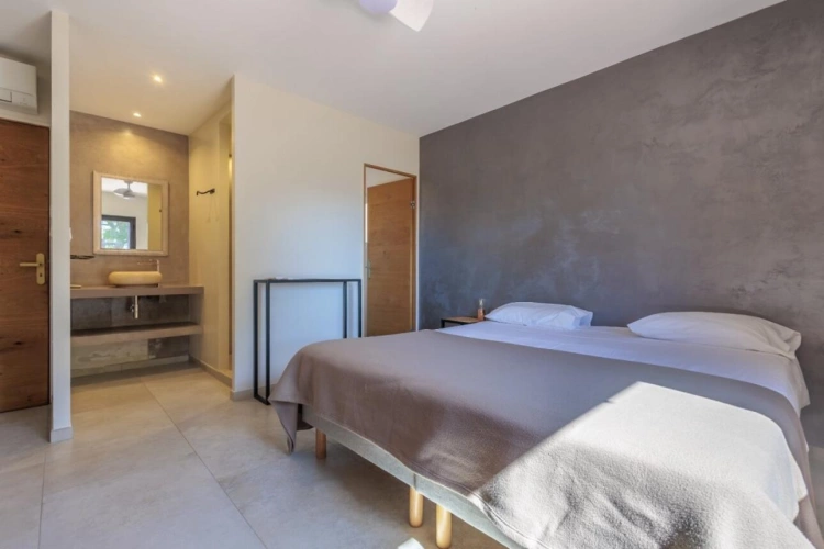 Photos 18 - Viticole - Propriété viticole