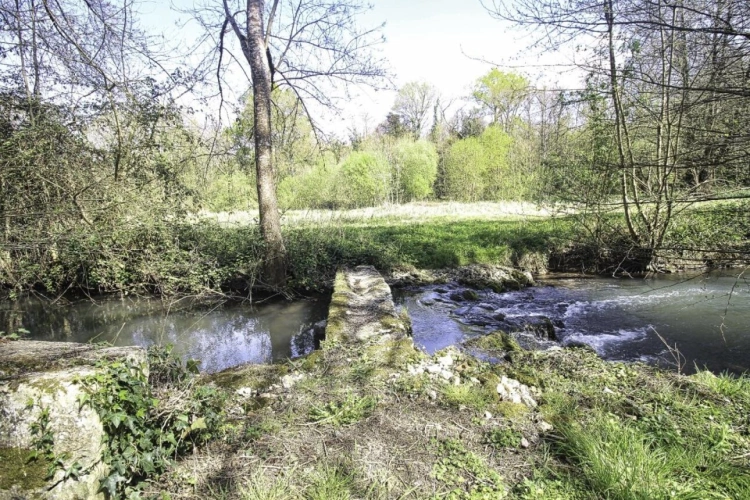 Photos 3 - Rurale - Maison de campagne