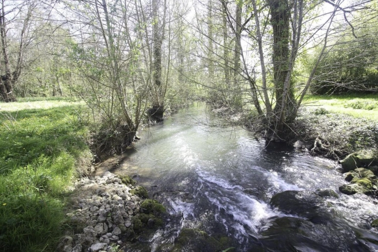 Photos 19 - Rurale - Maison de campagne