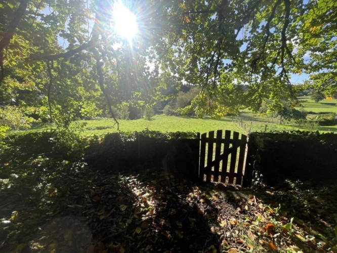 Photos 18 - Prestige - Domaine