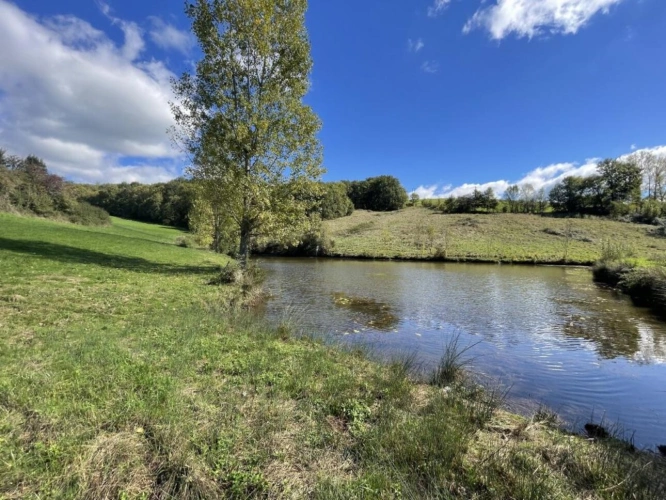 Photos 17 - Rurale - Maison