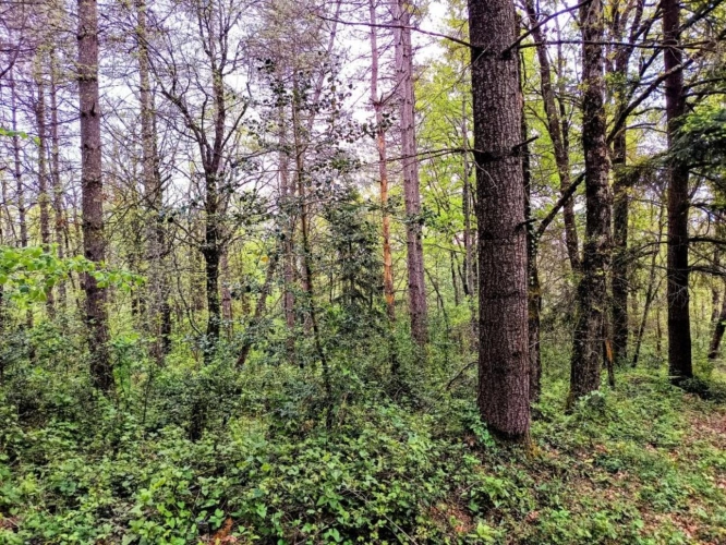 Photos 16 - Prestigious - House and Land