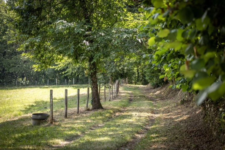 Photos 10 - Prestige - Maison