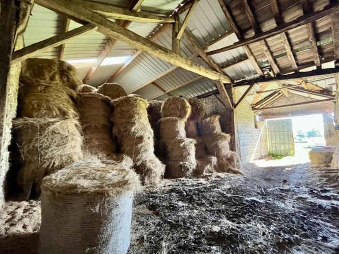 Photos 10 - Agricole - Maison