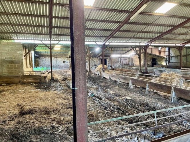 Photos 13 - Agricole - Maison