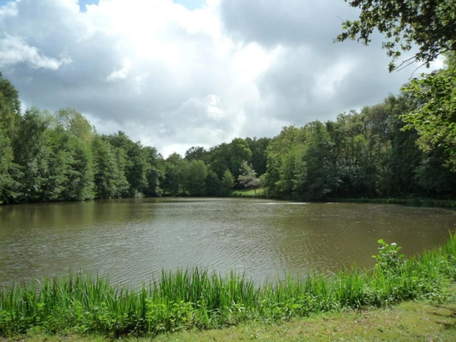 Photos 2 - Rurale - Terrain constructible