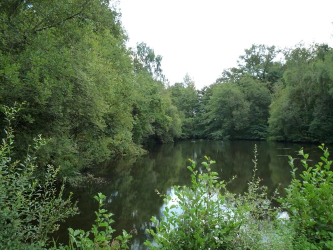 Photos 3 - Rurale - Terrain constructible