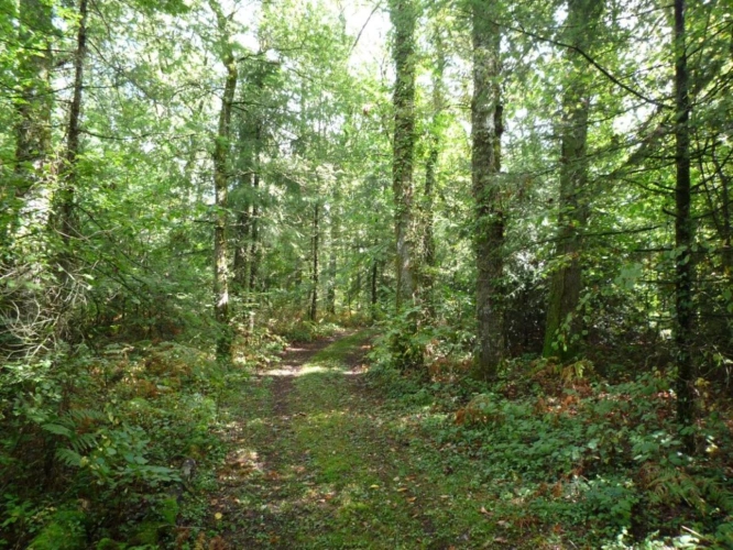 Photos 4 - Rurale - Terrain constructible