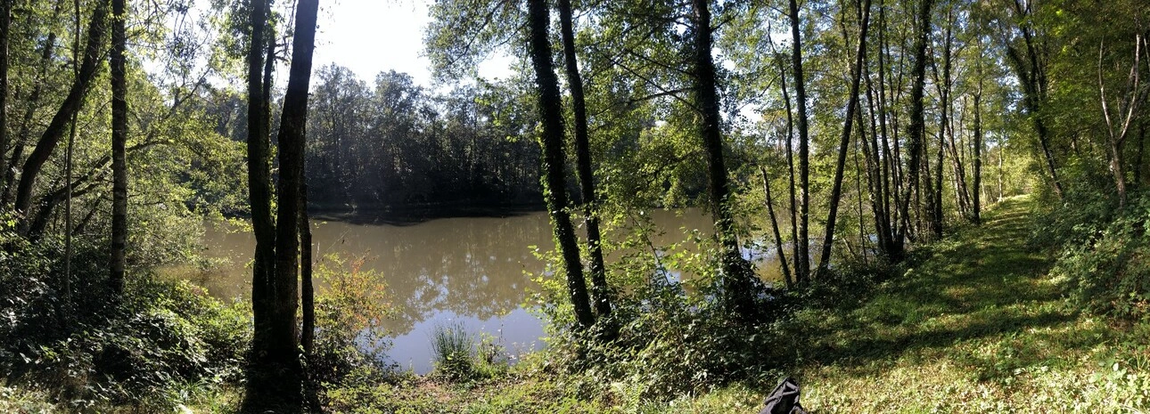 Photos 5 - Rurale - Terrain constructible