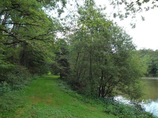 Photos 6 - Rurale - Terrain constructible