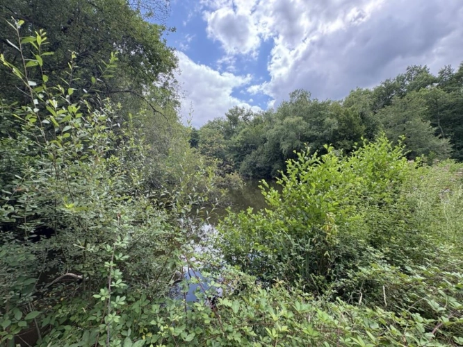 Photos 9 - Rurale - Terrain constructible