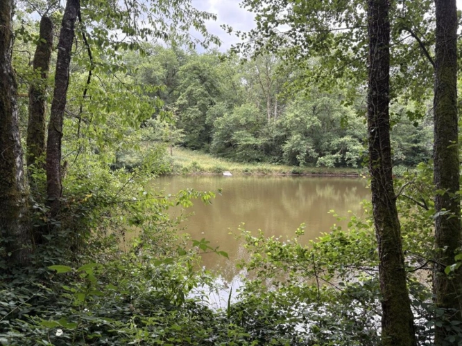 Photos 10 - Rurale - Terrain constructible