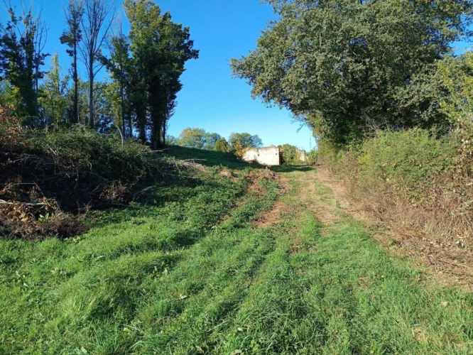 Photos 8 - Foncière - Terrain agricole