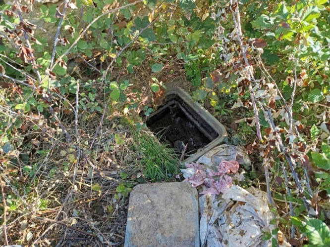 Photos 11 - Foncière - Terrain agricole