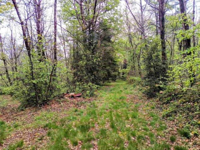 Photos 14 - Prestige - Maison et terrain