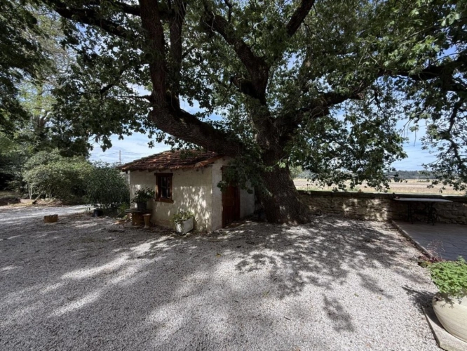 Photos 5 - Prestige - Maison de maître