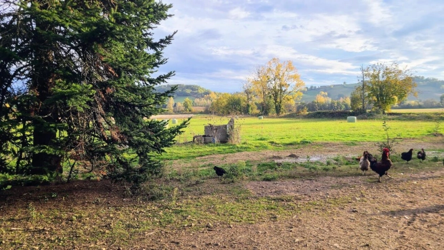 Photos 13 - Agricole - Propriété agricole