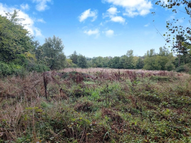 Photos 19 - Rurale - Maison de caractère