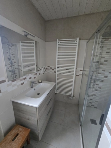 Photos 11 - Agricole - Propriété à vendre 12 pièces BEAUVOIR SUR MER (85)