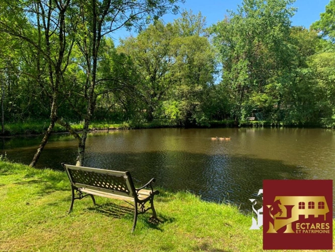 Photos 5 - Touristique - Maison Nort Sur Erdre 2 habitations, 1,7 hectares 12 pièce(s) 350 m2