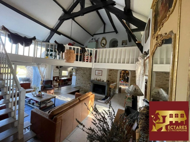 Photos 9 - Touristique - Maison Nort Sur Erdre 2 habitations, 1,7 hectares 12 pièce(s) 350 m2