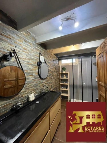 Photos 10 - Touristique - Maison Nort Sur Erdre 2 habitations, 1,7 hectares 12 pièce(s) 350 m2