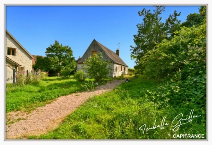 Photos 51 - Rurale - Propriete à vendre 8 pièces TOUCHAY (18)