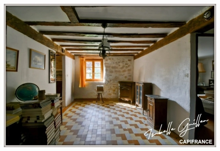 Photos 58 - Rurale - Propriete à vendre 8 pièces TOUCHAY (18)