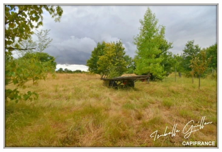 Photos 47 - Rurale - Propriete à vendre 8 pièces TOUCHAY (18)