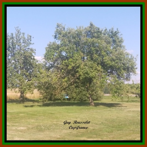 Photos 17 - Touristique - " PROPOSITION MODULAIRE 1"        Propriété à vendre 9 pièces + Ateliers et Hangars Annexes COURCELLES LES SEMUR (21)