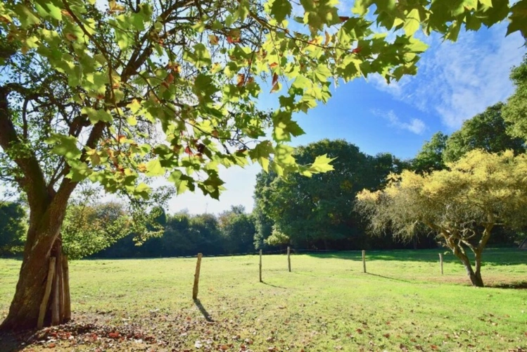 Photos 14 - Équestre - Dpt Eure (27), à vendre HEUDREVILLE SUR EURE