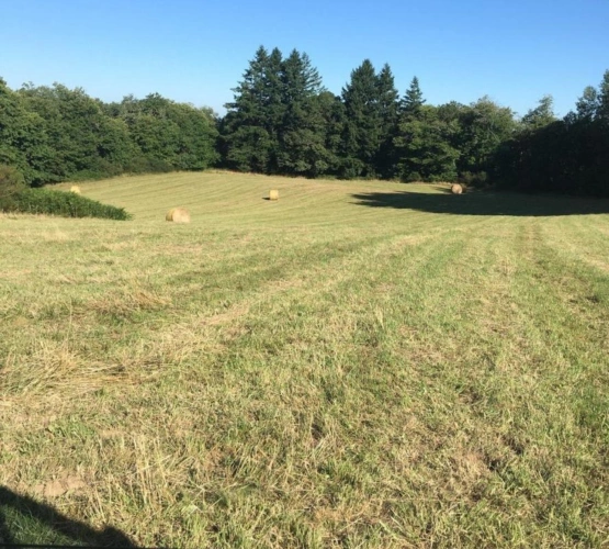 Photos 2 - Agricole - Corps de ferme