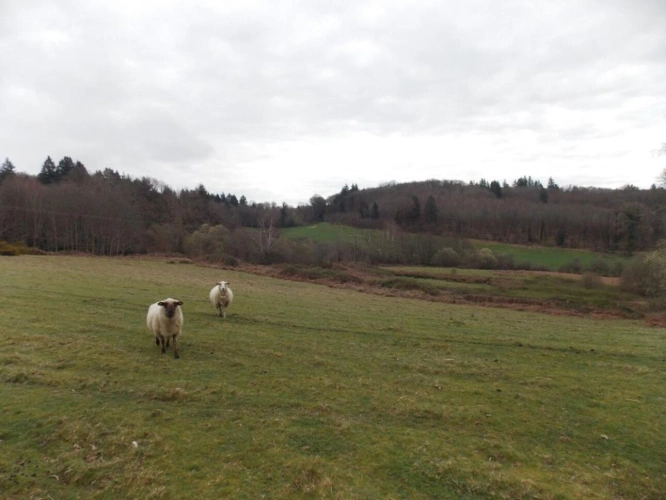 Photos 11 - Agricole - Corps de ferme