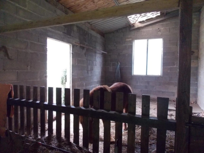 Photos 12 - Rurale - Maison de campagne