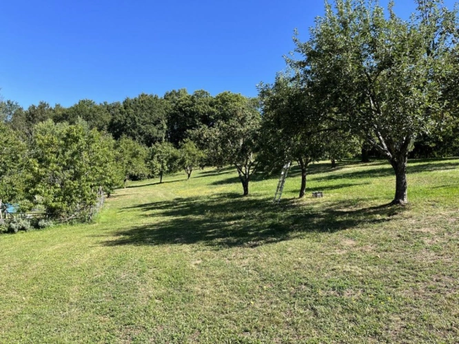 Photos 4 - Rurale - Maison de campagne