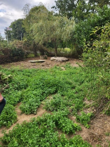 Photos 19 - Tourist - House to renovate