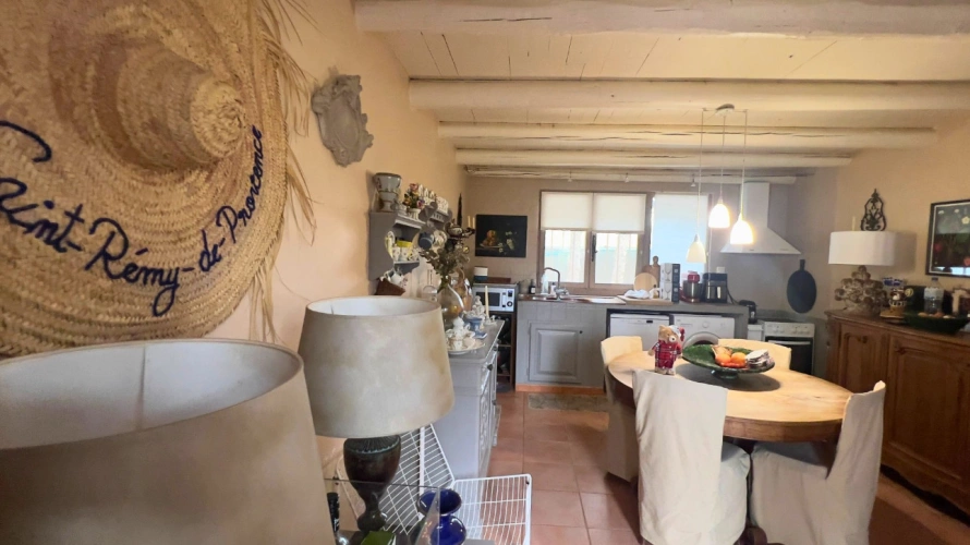 Photos 4 - Équestre - Au pied des Alpilles : mas de charme avec installations équestres (13)