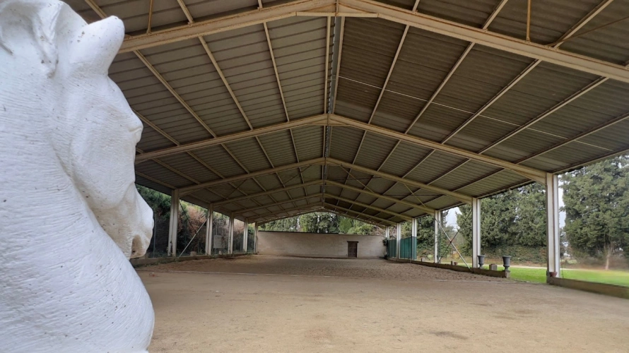 Photos 8 - Équestre - Au pied des Alpilles : mas de charme avec installations équestres (13)