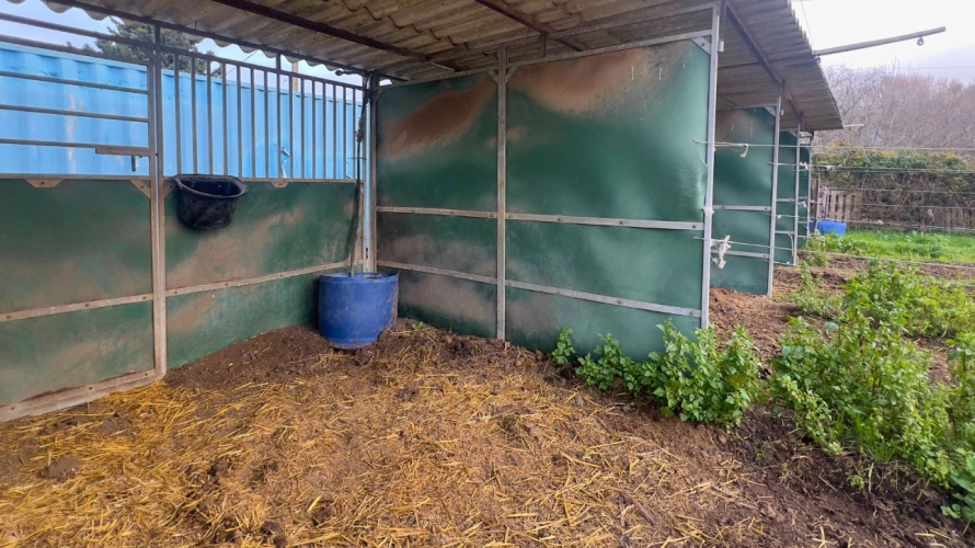 Photos 10 - Équestre - Au pied des Alpilles : mas de charme avec installations équestres (13)