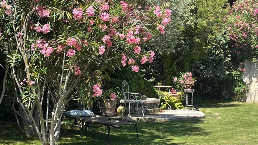Photos 11 - Équestre - Au pied des Alpilles : mas de charme avec installations équestres (13)