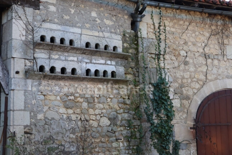 Photos 19 - Prestige - Manoir à vendre 12 pièces de 334 m² avec parc arboré - Bors (16)