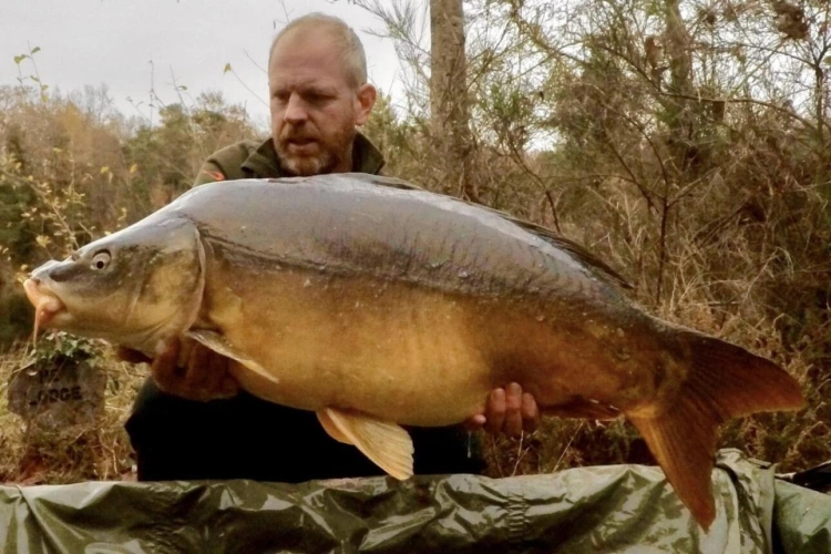 Photos 4 - Forestière - Etang