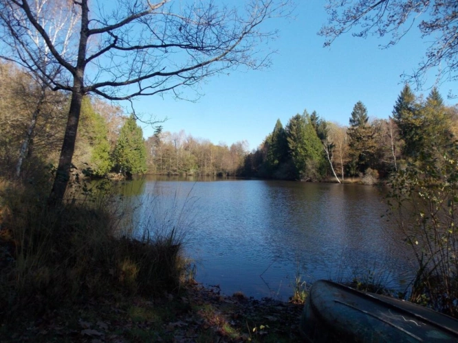 Photos 5 - Forestière - Etang